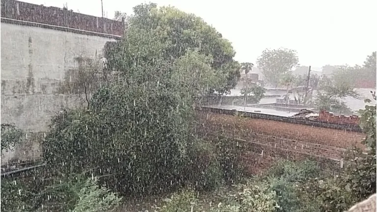 बेमौसम बारिश का कहर लगातार जारी, आज MP में ऐसा होगा मौसम का हाल Unseasonal rains in Madhya Pradesh, hailstorm caused farmers to face heavy loss of crops
