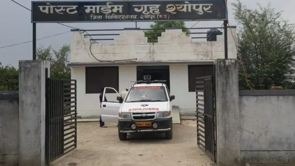 Sheopur, Suicide, Death, Crime, Women