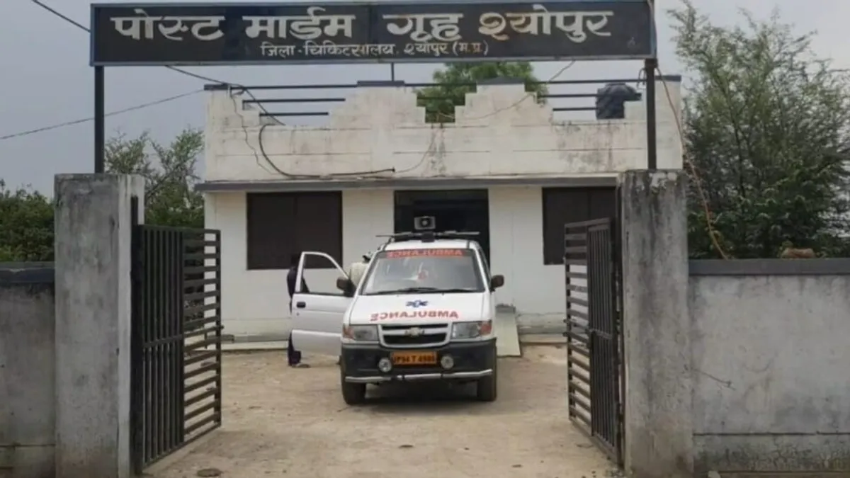 श्योपुर: 19 वर्षीय महिला की खुदखुशी मामले में नया खुलासा, ऑक्सीजन लगाए पीड़िता ने वीडियो में बताई सुसाइड की वजह Sheopur, Suicide, Death, Crime, Women