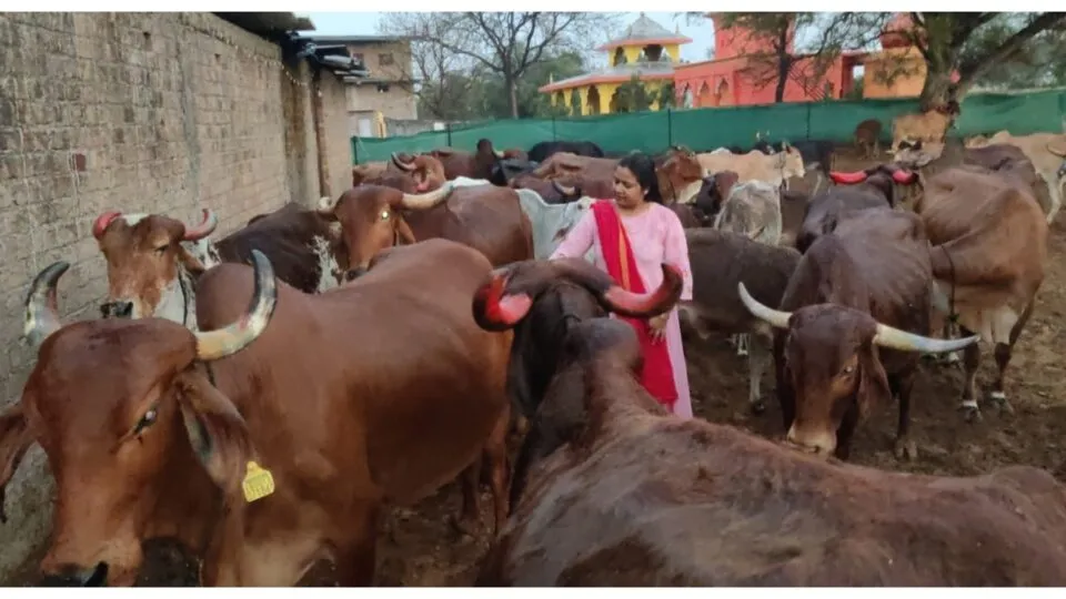 Women's Day, Positive Story, Madhya Pradesh, Rajgarh