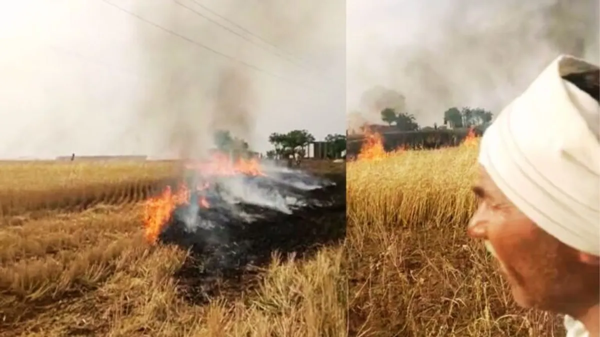 बिजली की चपेट में आई 10 बीघे गेहूं की खड़ी फसल, किसान ने दी आत्महत्या की धमकी, रखी ये शर्त Standing crop of 10 bighas of wheat came in grip of lightning standing in same field farmer threatened to commit suicide