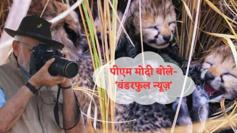 After sad news of Kuno Sasha now good news came from National Park echoing of 4 cubs