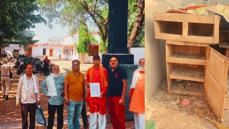 The strange act of thieves has come to the fore in Guna. Unidentified thieves stole 12 pigeons and 5 rabbits while burgling in Banskhedi of Cantt police station area.