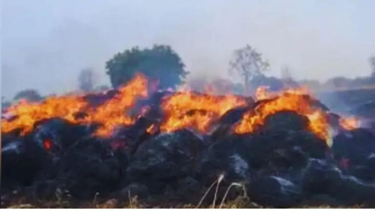 Fire broke out in fields, Khargone, Madhya Pradesh