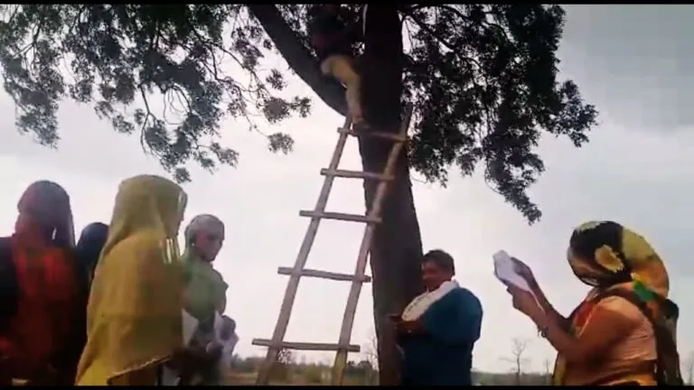 Strange MP: In Shivraj's home district, secretaries adopted this trick to fill the form of Ladli Bahna Yojana