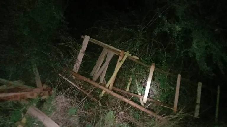 चोरों का दुस्साहस, मक्सी-रूठियाई रेलवे ट्रेक की चालू बिजली लाइन ही काट ले गए, चलती ट्रेनें थमी shajapur news Indian Railway mp news mp crime news