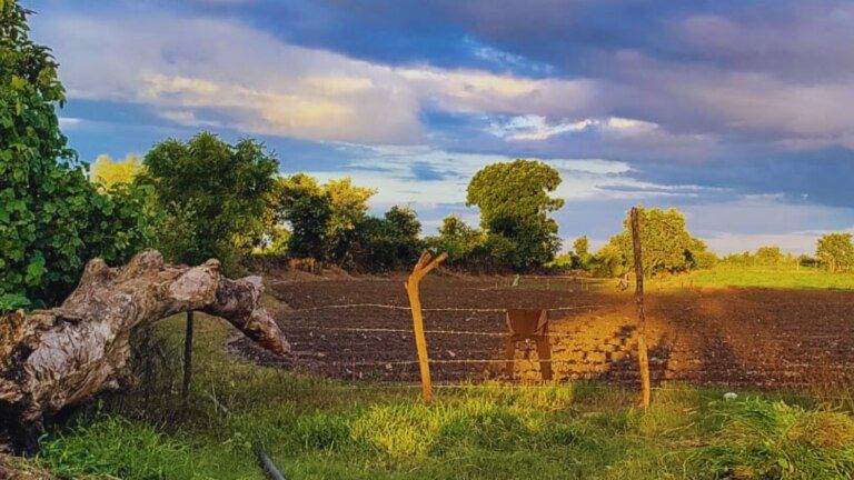 The weather in the state has taken its own stand. While a heatwave alert has been issued in many areas of the state, on the other hand, there is heavy rain and hailstorm in some areas. mp news mp news updates mp weather mp weather updates imd alert