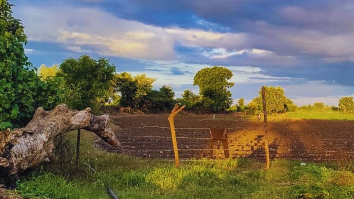 MP Weather: मध्य प्रदेश में गर्मी का सितम! टूटा अक्टूबर का रिकॉर्ड; ये रहा सबसे गर्म शहर The weather in the state has taken its own stand. While a heatwave alert has been issued in many areas of the state, on the other hand, there is heavy rain and hailstorm in some areas. mp news mp news updates mp weather mp weather updates imd alert