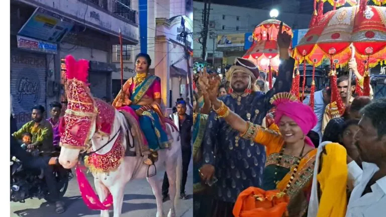 Bride on mare, MP News, Madhya Pradesh, Burhanpur