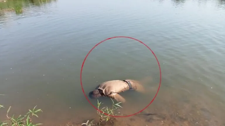 Home Guard soldier body found, Death, MP News, Mandla