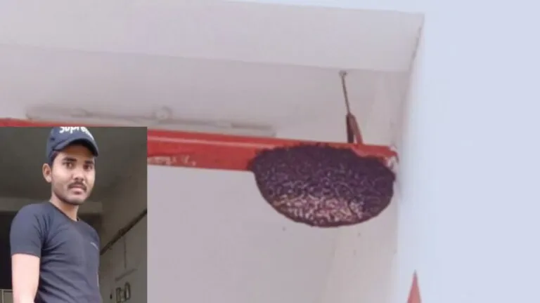 became father at night youth jumped from third floor of hospital due to bee attack died on the spot