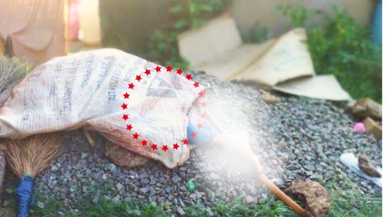 Minor boy murder in seoni, MP crime news