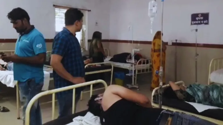 Bees attack on villagers worshiping God on the farm, there was a cry
