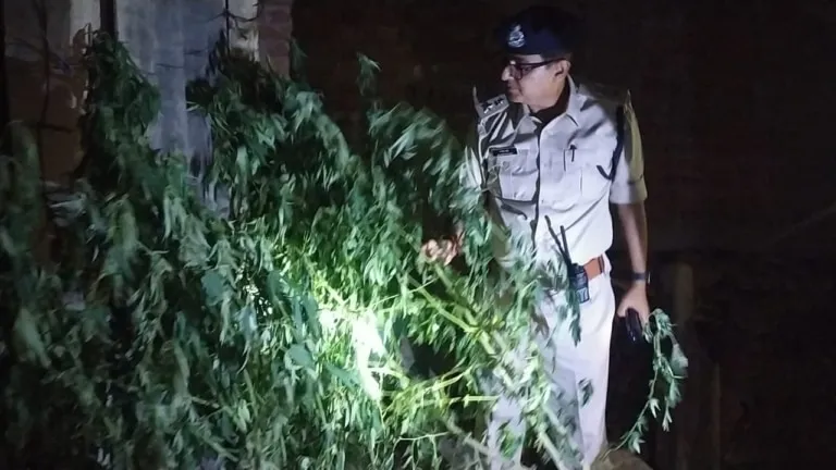 chambal news, bhind news, mp news, bhind crime news, bhind police, mp police