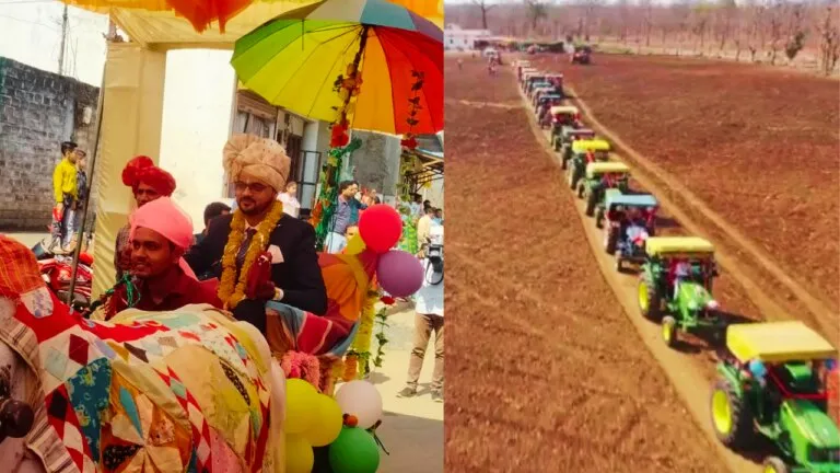 Salary in lakhs, yet Sehra dam bridegroom took out procession on bullock cart, people said - you have done amazing...