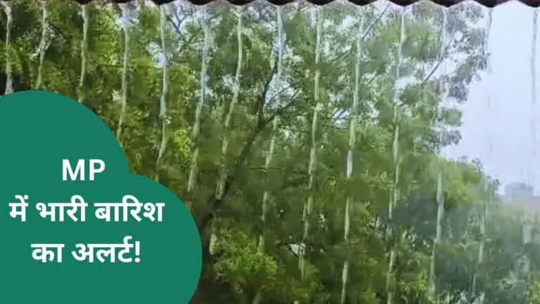 mp weather news, madhya pradesh, rain,