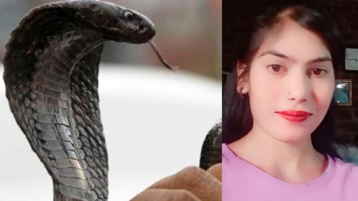 सांप के काटने से लड़की के मुंह से निकला झाग, अस्पताल में झाड़ फूंक कराते रहे परिजन, मौत Foam came out of the girl's mouth due to snake bite, relatives kept blowing broom in the hospital, death