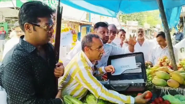 Bhopal, mp, tomato, tomatoes price, price hike, mp news, mp news update,