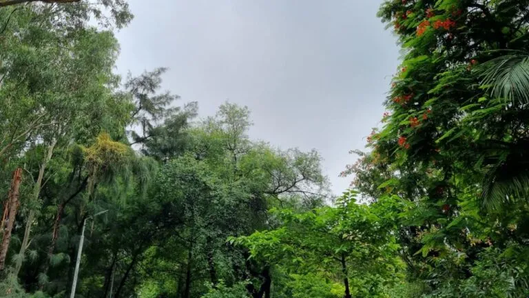 MP News: माैसम की बेरुखी ने किसानों को डराया, फसलों पर मंडराया संकट, जानें कब होगी बारिश mp weather news mp weather update mp weather mp weather today weather update madhya pradesh weather report weather today weather alert for madhya pradesh weather update today madhya pradesh weather mp weather forecast