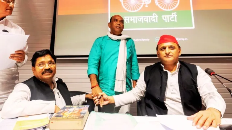 मध्य प्रदेश में पूरे दमखम से चुनाव मैदान में उतरेगी सपा, अखिलेश को दिख रही ये संभावनाएं MP Election 2023 akhilesh yadav Samajwadi Party 4 candidates mp assembly elections