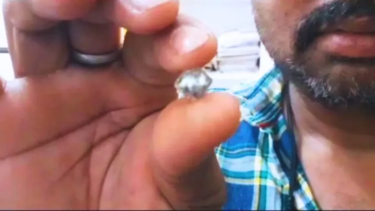 priceless diamond found during minig Panna, mp news, panna