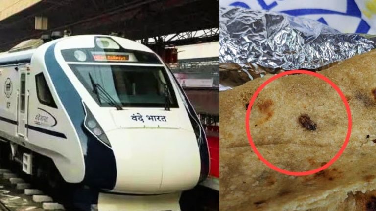 Cockroach found in passenger's food in luxury Vande Bharat Express, Railways gave this clarification