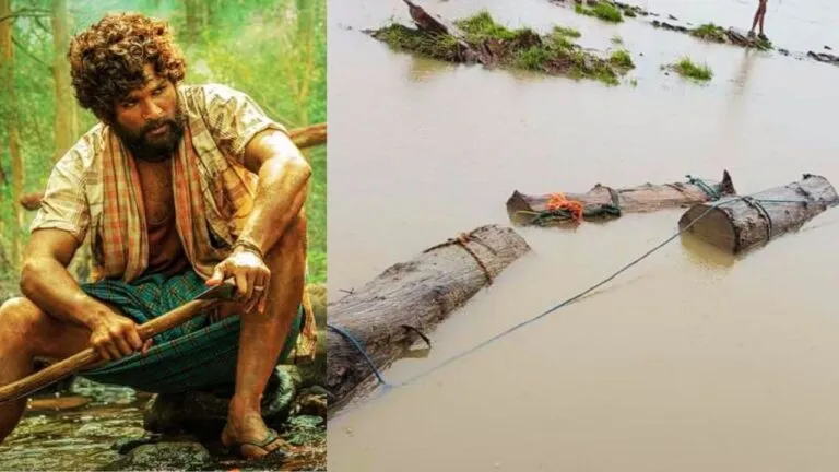 Damoh News, Wood Smuggling, Smuggling In Damoh, Flowing Sagon, Sagon, Sagon Smuggling, Sali River, Pushpa Movie, Allu Arjun, MP News, Madhya Pradesh News