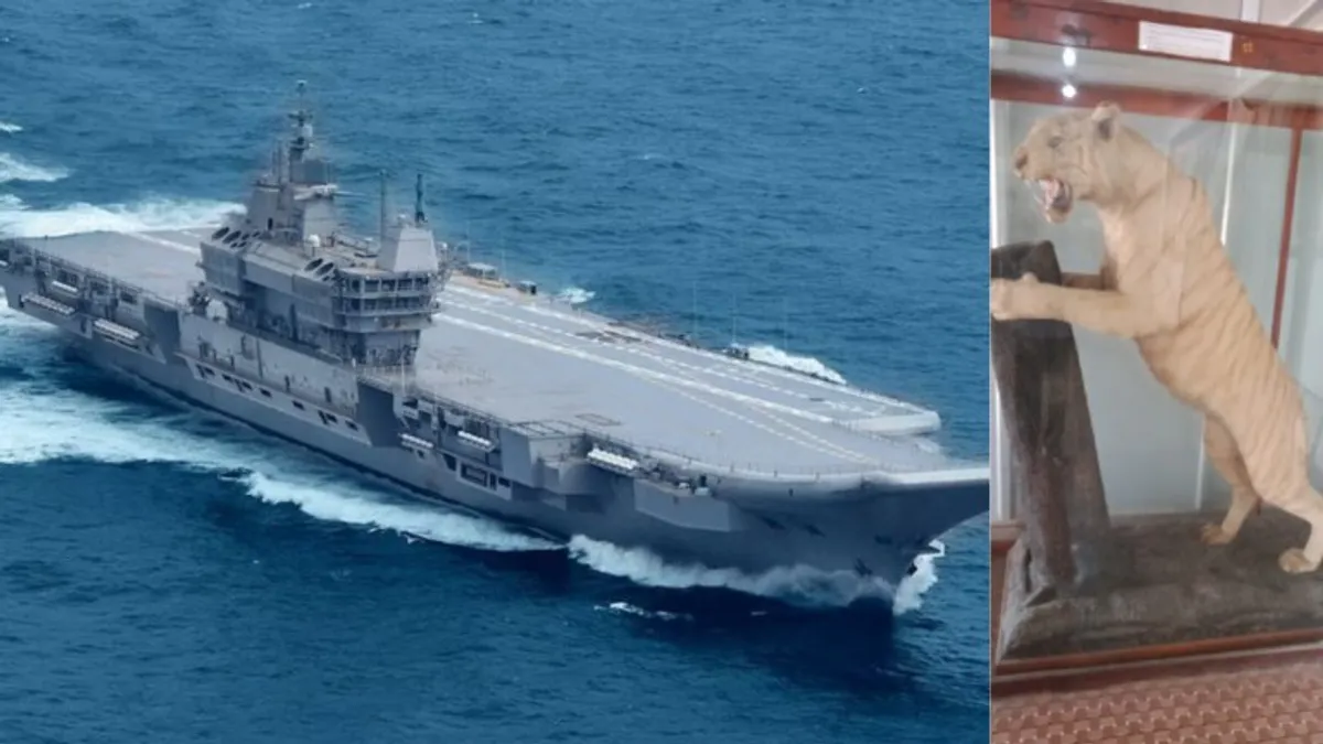 देश की शान INS विक्रांत पर गर्व से खड़ा है MP का ‘विराट’, जानें रीवा क्यों होता है इससे गौरवान्वित mp news ins vikrant virot rewa news white tiger
