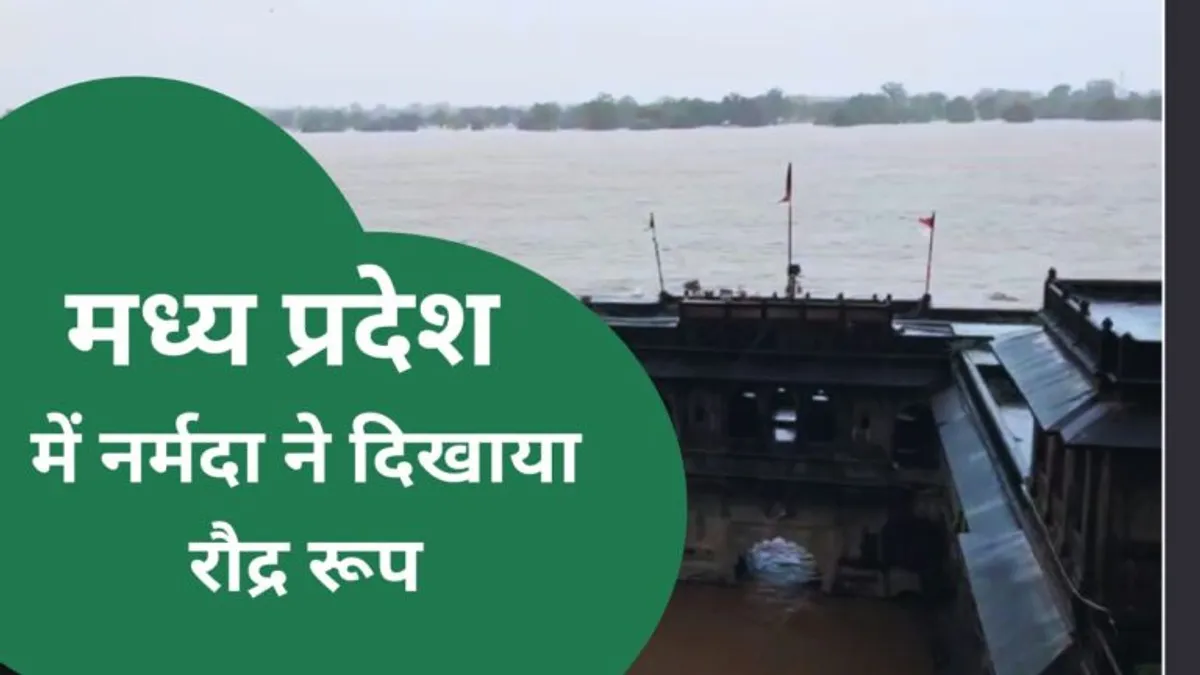 भारी बारिश से नर्मदा ने दिखाया रौद्र रूप, खंडवा-खरगोन में बिगड़े हालात; महेश्वर के किले में घुस रहा पानी rain, weather, mp news, mp weather update, indore