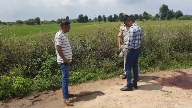 Datia News, MP News, MP Home Minister, Firing in Datia