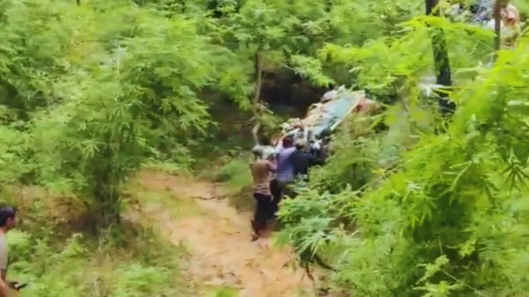 bagh rescue, mp news, tiger, bandhavgarh, madhya pradesh