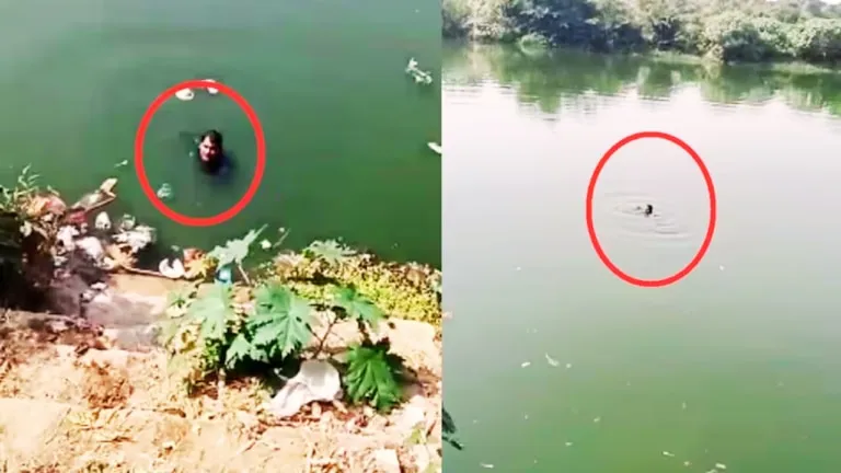 District Badar jumped into river fear of mp police VIDEO viral mp news