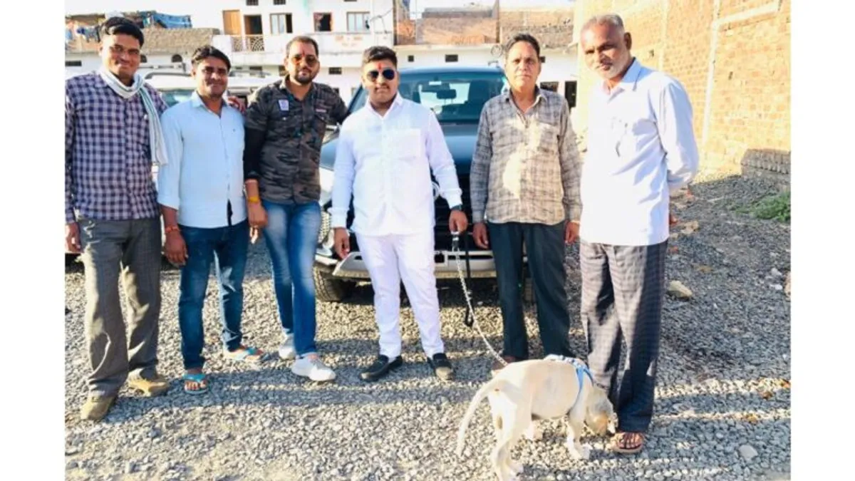 रोज 4-5 हजार का मटन खा जाता था बुली डॉग सुल्तान, लगाया जाता था परफ्यूम Trainer murdered dog by hanging Painful video , mp news, crime news, shajapur