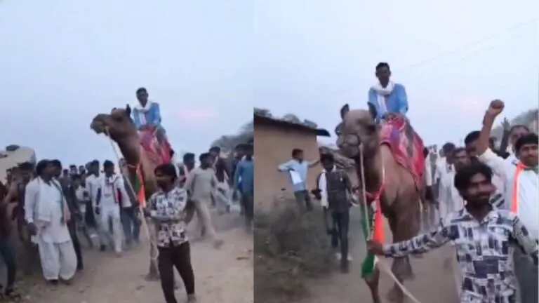 Madhya Pradesh Election, Madhya Pradesh election result, Madhya Pradesh election result live, Madhya Pradesh election counting, Madhya Pradesh election result live, Madhya Pradesh election result, Madhya Pradesh election updates, Madhya Pradesh chunav