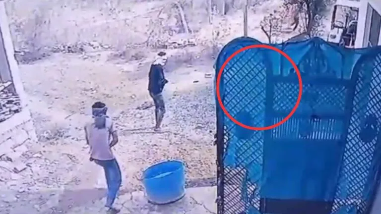 स्कूल में घुसे नकाबपोश बदमाशों ने की ताबड़तोड़ फायरिंग, सड़क बना रहे मजदूर जान बचाकर भागे Firing took place in dispute over road construction in gwalior, Firing, MP News, Crime News, Gwalior News, Madhya Pradesh