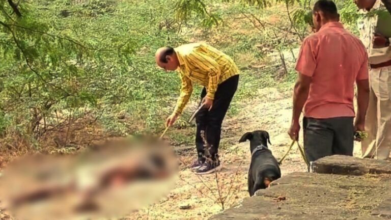 ग्वालियर में बलि देने का सनसनीखेज मामला, इस हाल में पहाड़ी पर मिला शव; पुलिस हैरान gwalior crime news mp news mp crime news update mp breaking news update