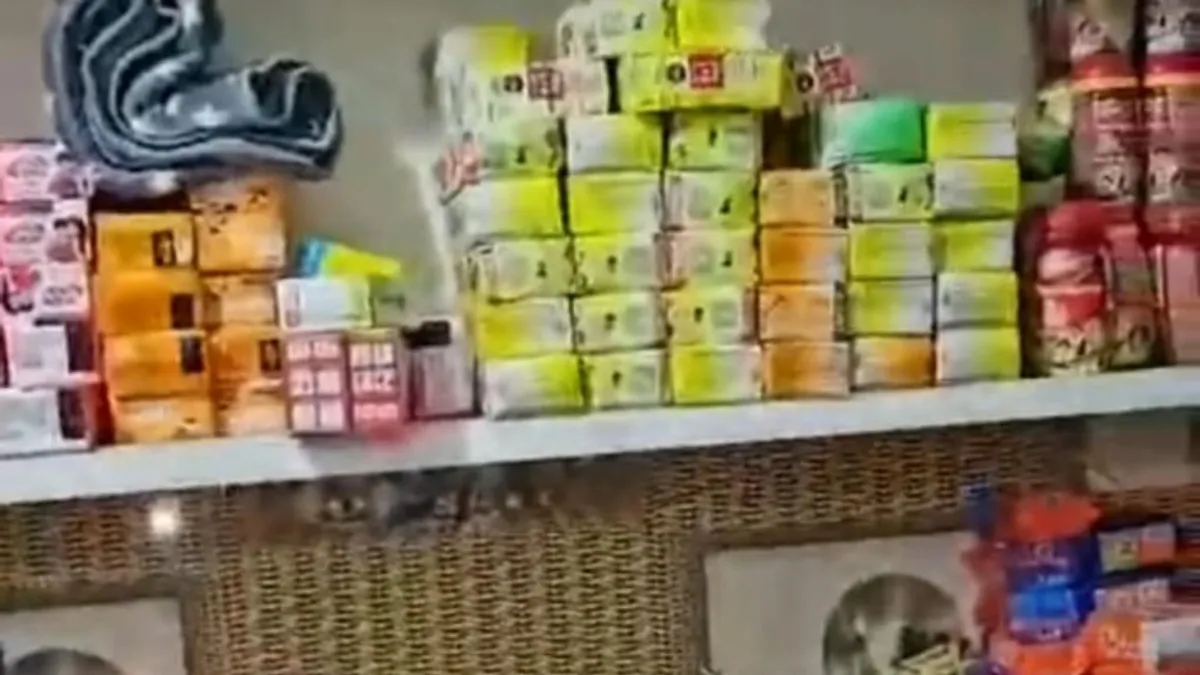ग्वालियर के शॉपिंग मॉल में पकड़ी गई बड़ी चोरी, पकड़ में आए चोर तो हैरान हुई पुलिस Gwalior News, Gwalior Crime News, Gwalior Vishal Megamart, MP Crime News