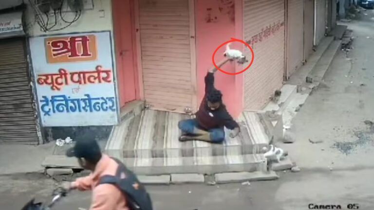 mp news, guna news, guna viral video, cm shivraj, mp cm news, mp hindi news