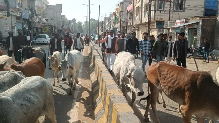 Sheopur News, Congress MLA, MP Congress, MP News, MP Politics