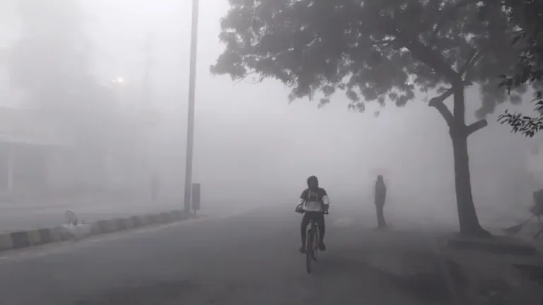 MP Weather, MP Weather Update, Cold wave in MP, Gwalior Weather, Gwalior News, MP News