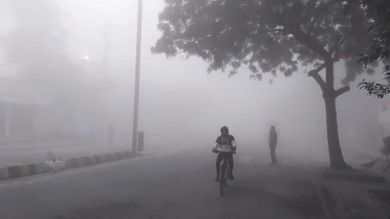 MP की ठंड बांटे मौत, जानें ग्वालियर में कैसे जानलेवा बनी सर्दी, हर तरफ पसरा है सन्नाटा MP Weather, MP Weather Update, Cold wave in MP, Gwalior Weather, Gwalior News, MP News