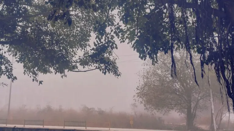 MP Weather Update, MP Weather News, Cold, Winter, Cold Winds, &quot;MP Weather, Today Weather Update, cold in mp, cold in chhattisgarh, mp news, mp weather news, mp weather forecast, madhya pradesh mausam, Today Weather Update, winters in mp, madhya