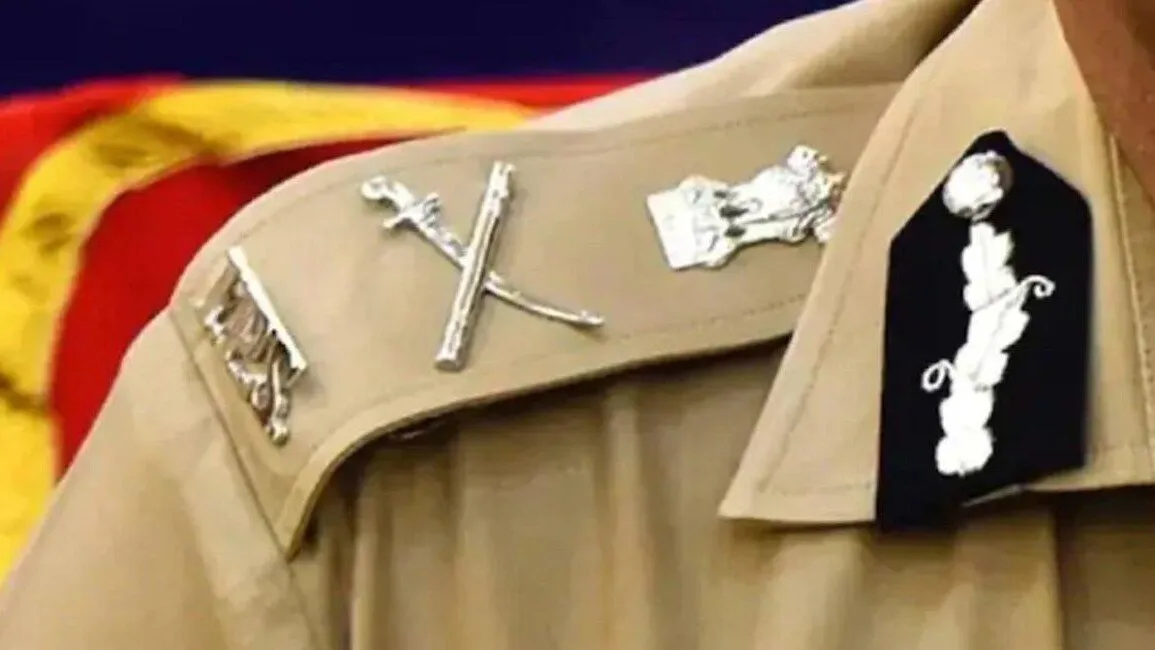 IPS Transfer IN MP