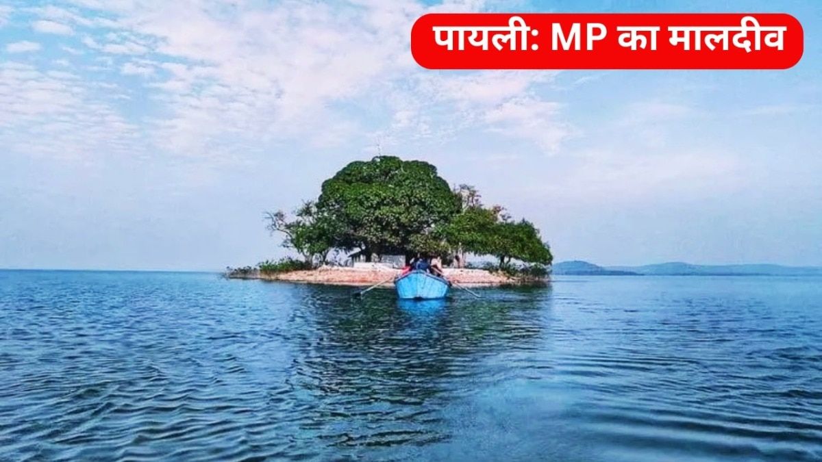 MP Tourism: जबलपुर से सिर्फ इतनी दूरी पर है MP का 'मालदीव', खूबसूरती देख रह जाएंगे दंग payli_island_mp