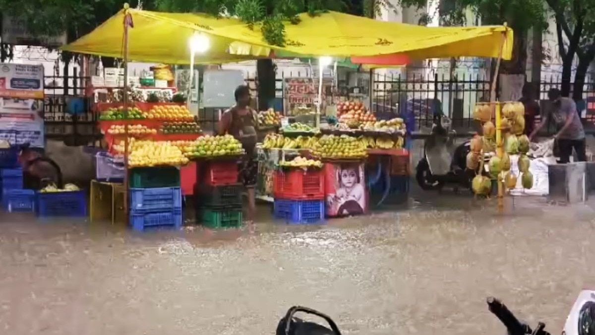 MP Weather: अगले कुछ घंटो के भीतर मध्य प्रदेश के इन जिलों में होगी झमाझम बारिश, जानें मौसम का ताजा हाल बारिश में तरबदर मध्य प्रदेश