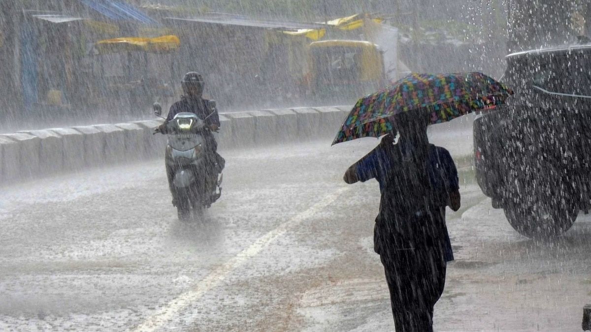 MP Weather: मध्य प्रदेश में अचानक बदला मौसम का रुख, पन्ना-सतना समेत 7 जिलों में भारी बारिश का अलर्ट! NewsTak