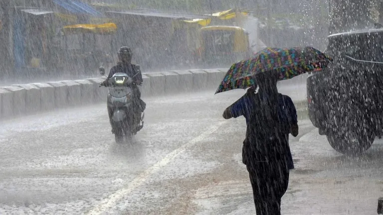 MP Weather: मध्य प्रदेश में अचानक बदला मौसम का रुख, पन्ना-सतना समेत 7 जिलों में भारी बारिश का अलर्ट! NewsTak
