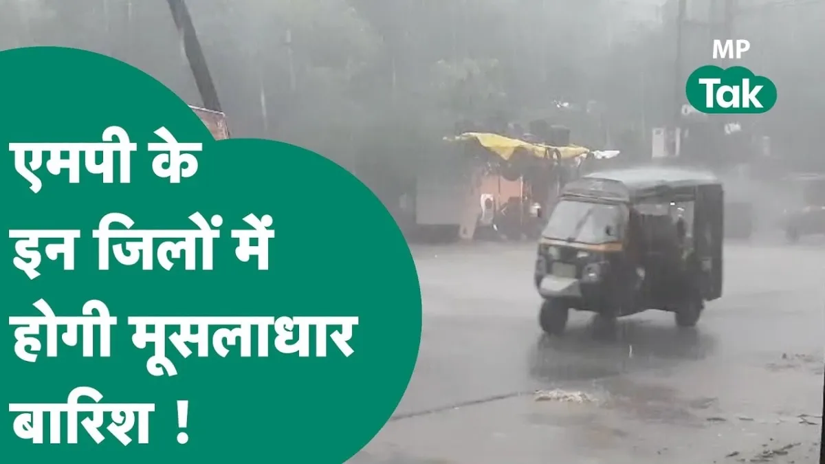 MP Weather News