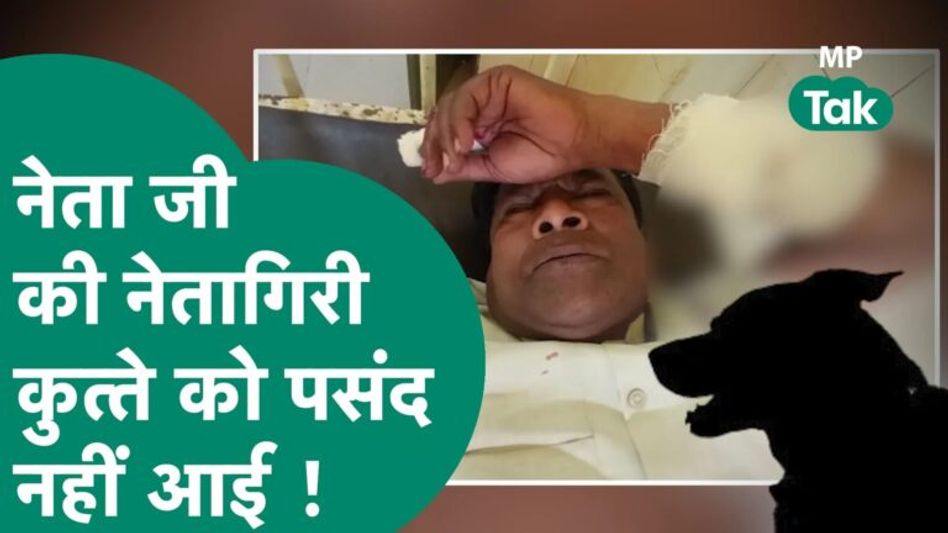 नेता जी गए थे जनता से मिलने, जनता ने तो कुछ नहीं कहा पर कुत्ते ने जरूर अपना गुस्सा निकाल डाला ! Video Thumbnail