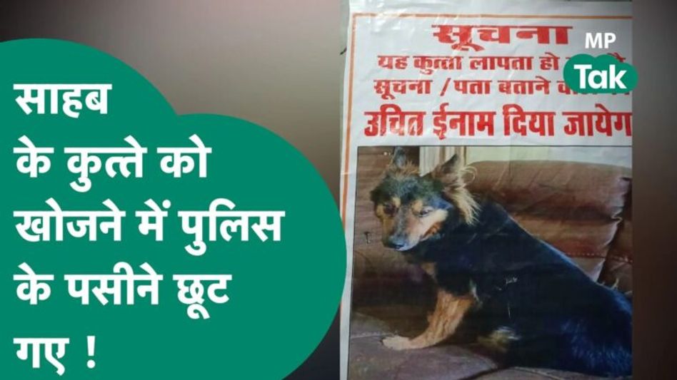 IAS अफसर का कुत्ता खोया, तो पुलिस महकमे में मचा हाहाकार, ढूंढने वाले को मिलेगा इतना इनाम..MP Tak Video Thumbnail